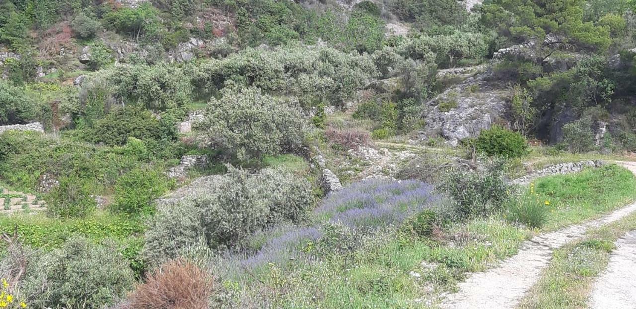 فندق Kuca Za Odmor Dobrila ييلسا المظهر الخارجي الصورة